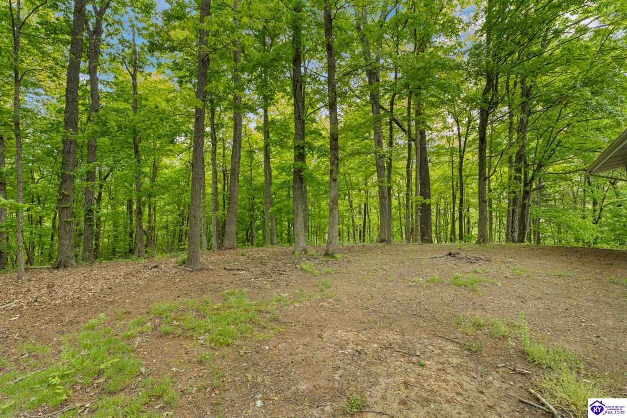 340 Cherry Pass photo 32