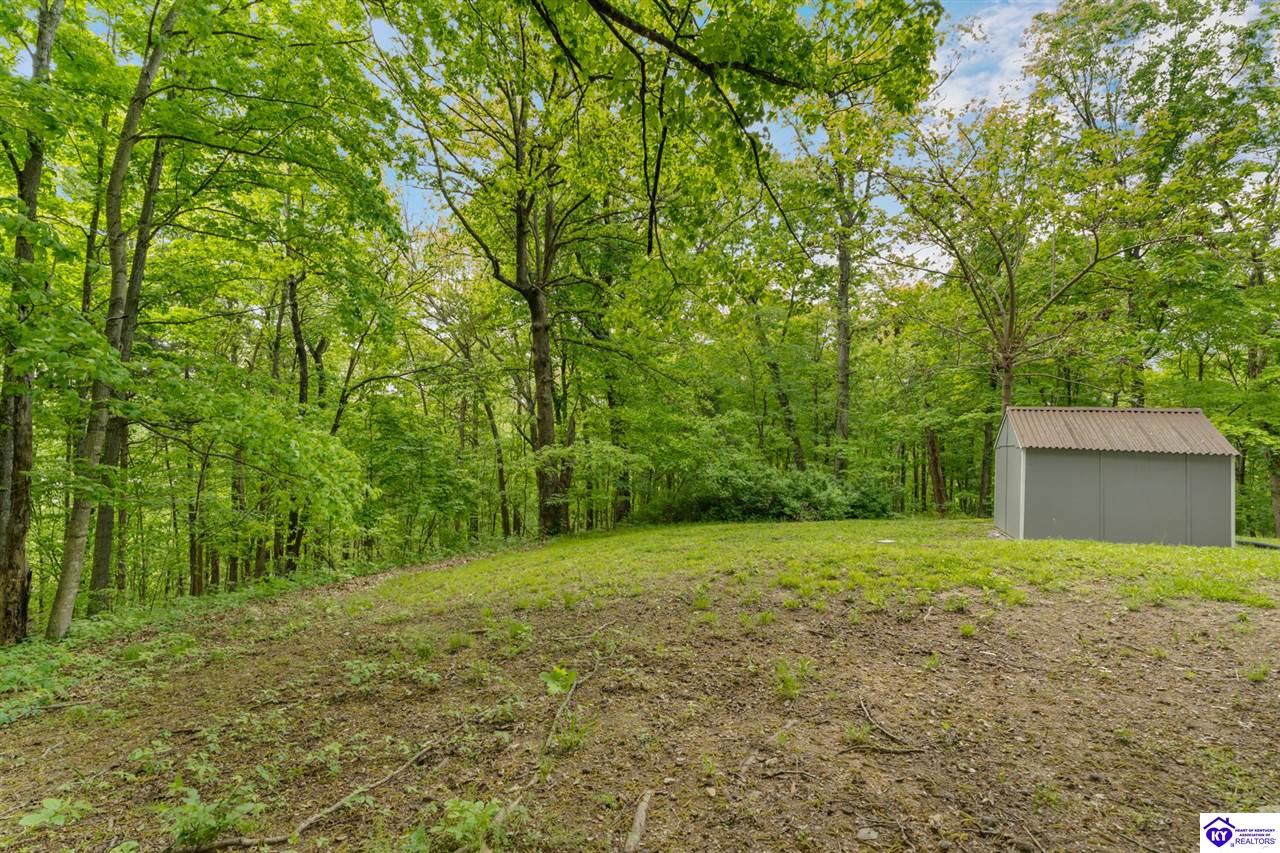 340 Cherry Pass photo 33