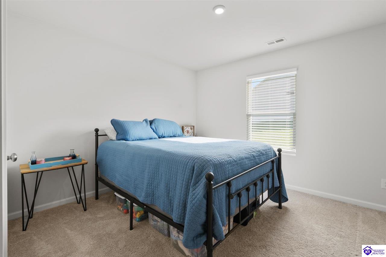 206 High Peak Place photo 11