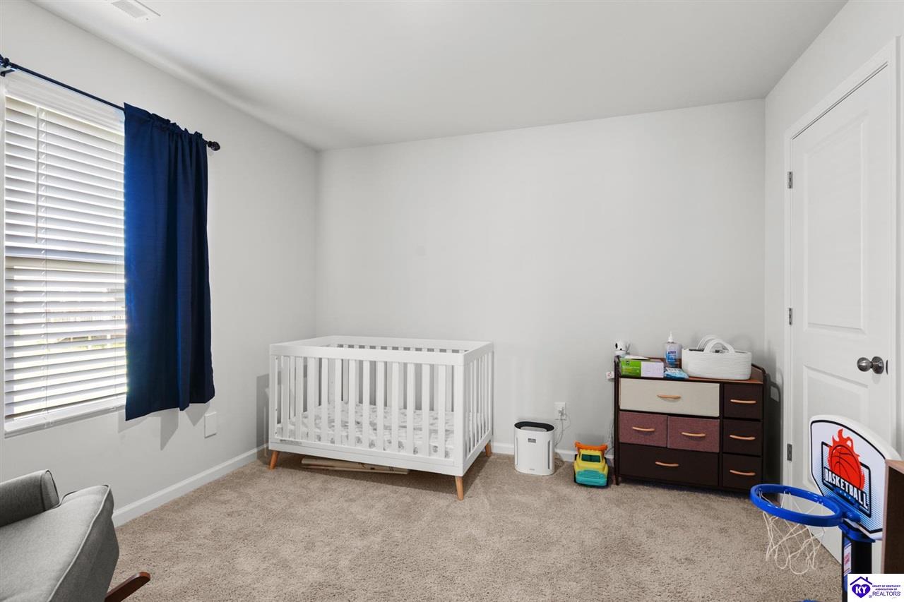 206 High Peak Place photo 5